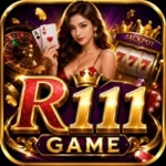 R111 Game